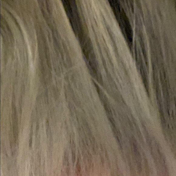 Meet your Posher, Kate - Picture 6 of 16